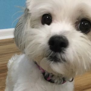 Meet your Posher, Keleigh